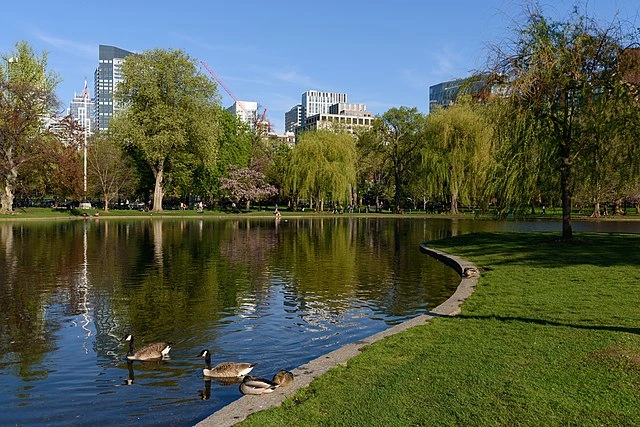 Boston Public Garden