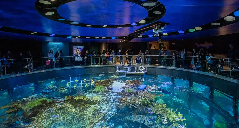 New England Aquarium